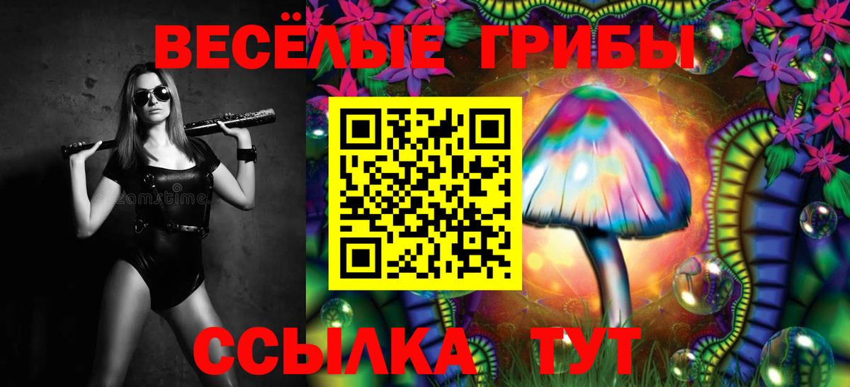 Усинск  Псилоцибиновые грибы Psilocybe  Вход с VPN 