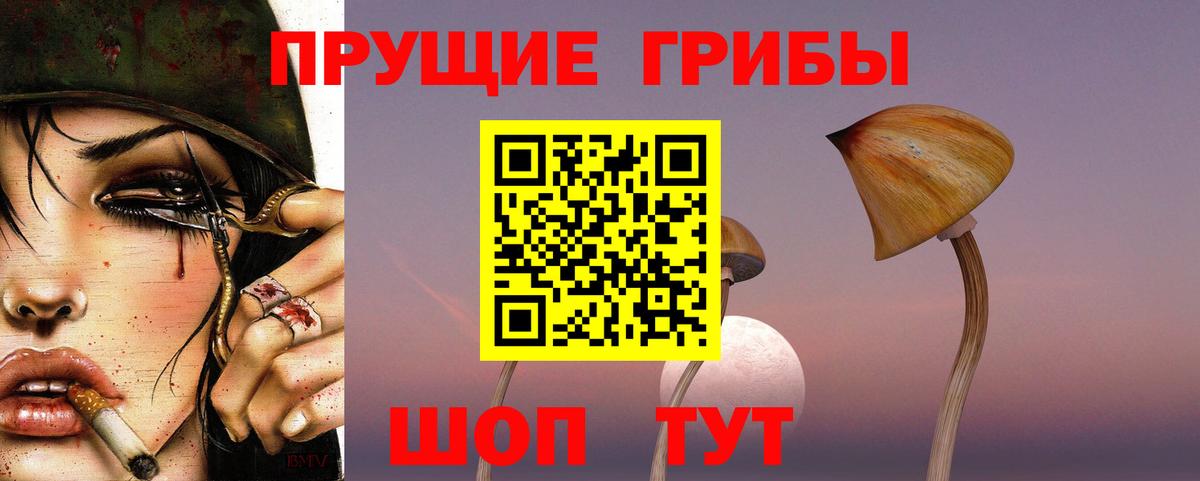 Псилоцибиновые грибы GOLDEN TEACHER Усинск
